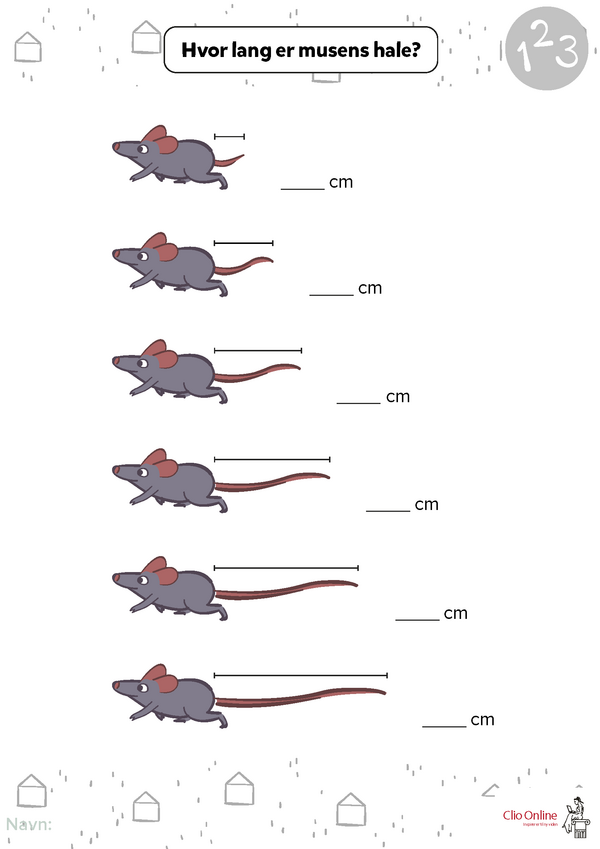 Hvor lang er musens hale
