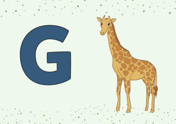 Store G   giraf 
