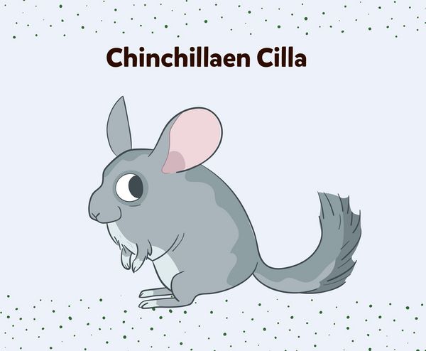 Cilla er en chinchilla   Clio Online  2016