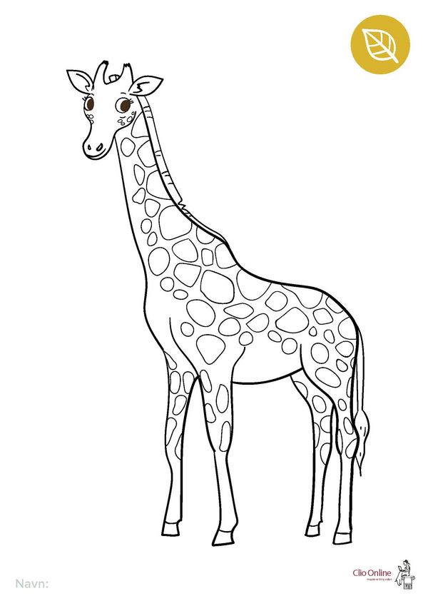 farveside giraf clioonline